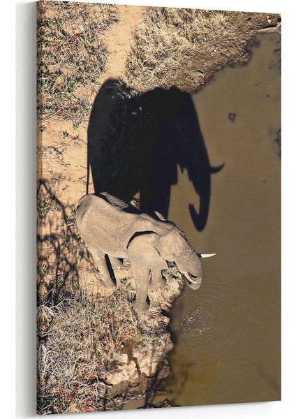 Su Kenarında Fil Tablosu