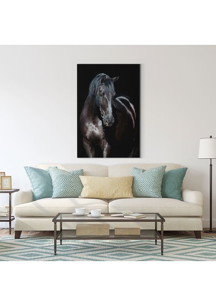 Siyah At Tablosu fiyatları