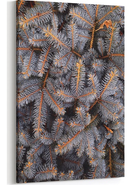 Ağaç Yaprakları Tablosu