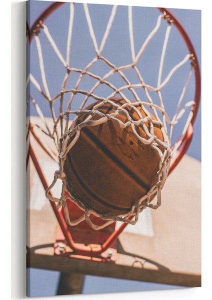 Basketbol ve Basketbol Topu Tablosu