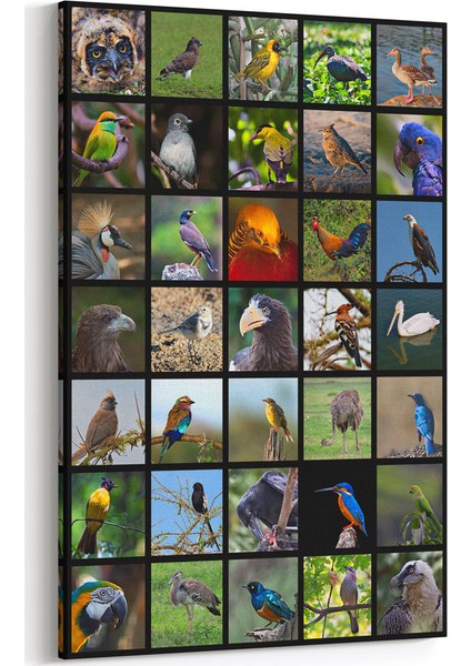 Kuşlar Kolaj Tablosu