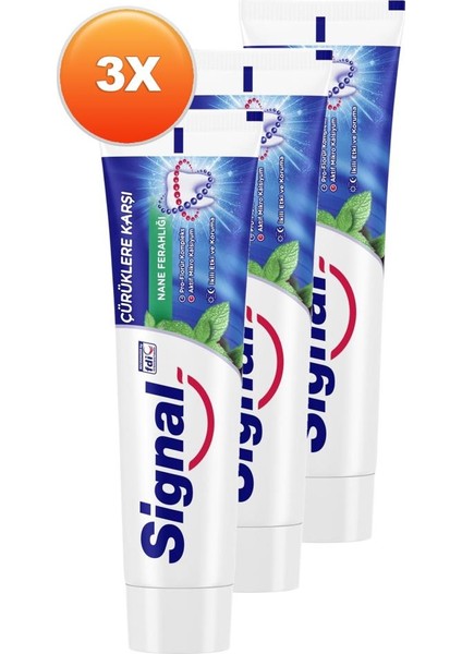 Beyaz Güç Nane Diş Macunu 100 ml 3'lü Set