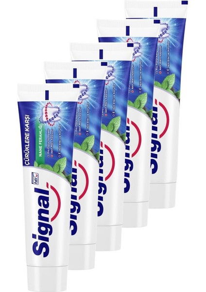Beyaz Güç Nane Diş Macunu 100 ml 5'li Set