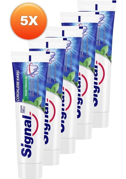 Beyaz Güç Nane Diş Macunu 100 ml 5'li Set