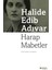 Harap Mabetler - Halide Edip Adıvar 1