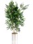 Yapay Çiçek Yapay Bambu Ağacı Paslanmaz Aleminyum Saksılı 80 cm 1