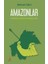 Amazonlar - Mehmet Dikici 1