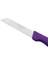 Delik Saplı Meyve Bıçağı 4'lü Takım - Mor 3