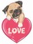 Hayvan - Köpek - Pug Sticker - 17250 1