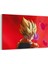 Goku - Dragon Ball Tablosu 1