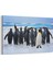 İmparator Penguen Tablosu 1