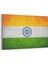 Hindistan Bayrağı Tablosu 1
