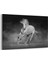 Siyah Beyaz Koşan At Tablosu 1