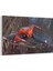 Spiderman Tablosu 1