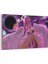No Game No Life Tablosu 1