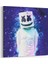Marshmello Tablosu 1