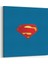 Superman Logo Tablosu 1