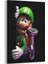 Luigi Super Mario Tablosu 1