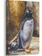 Penguen Tablosu 1