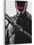 RoboCop Tablosu 1