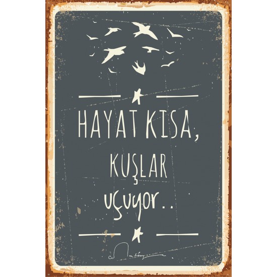 Hayat Poster Hayat Kısa Kuşlar Uçuyor Cemal Süreya Retro Fiyatı Hayat Poster Hayat Kısa Kuşlar Uçuyor Cemal Süreya Retro Fiyatı