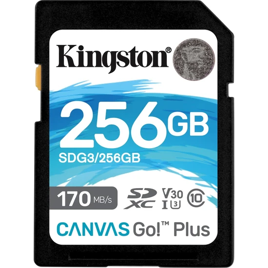 Kingston Canvas Go Plus 256GB Class 10 USH-I Hafıza Kartı SGD3/256GB