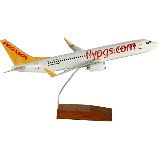 TK Collection Pegasus Havayolları 1:100 Ölçekli 39 cm B737 Maket Uçak
