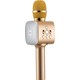 MF Product Acoustic 0254 Karaoke Mikrofon Gold