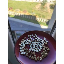 Ayenci Altın Kaplamalı Minik Kalp Kolye Ucu (Kararmaz) Gold Renkli Kolye Ucu