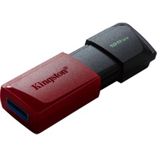 Kingston 128GB Usb3.2 DTXM/128GB Exodia M Kıngston