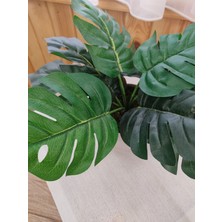 Cennet Home Monstera Devetabanı Beyaz Saksıda Yapay Çiçek