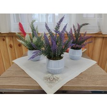 Cennet Home Saksıda Doğal Dokulu Lavanta 3lü Set Beyaz Mor Lila Hasır Görünümlü Beyaz Saksıda