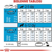 Royal Canin Maxi Puppy Büyük Irk Yavru Köpek Maması 15 kg