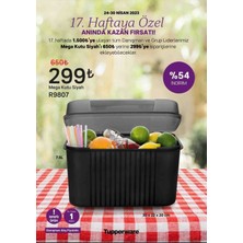 Tupperware Mega Kutu