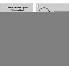 Pakuna Köpek Eğitim Tasması, Ayarlanabilir Boğma Tasma, Renkli Köpek Tasması 55 cm