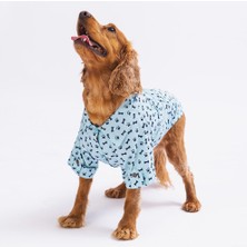 Pawstar Blue Ossa Kedi ve Küçük Irk Köpek Gömleği (2,5 kg-11 kg arasına uygun)