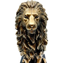 Rakun Home Kaideli Aslan Biblosu