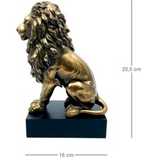 Rakun Home Kaideli Aslan Biblosu