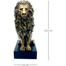 Rakun Home Kaideli Aslan Biblosu
