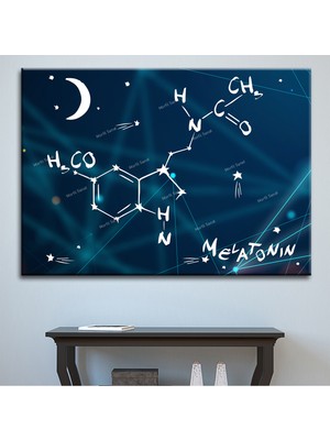 Morfil Sanat Atölyesi Grabovoi Aşk Mutluluk Formülü Yaşam Çiçeği Kanvas Tablo