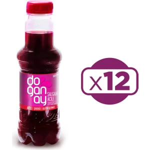 Şalgam Suyu 300 ml Acılı x 12 Adet