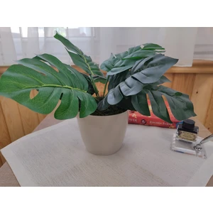 Cennet Home Monstera Devetabanı Beyaz Saksıda Yapay Çiçek