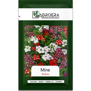 Mine (Verbena) Çiçek Tohumu 50 Adet