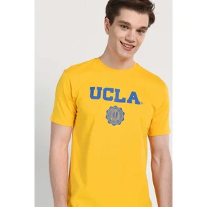 Gayley Sarı-Mavi Bisiklet Yaka Baskılı Erkek Tshirt