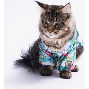 Hawai Kedi ve Küçük Irk Köpek Gömleği
