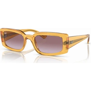 Rayban Güneş Gözlüğü RB4395 6682/8H