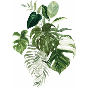 My Hobby Sulu Transfer LNT-123 25X35 cm