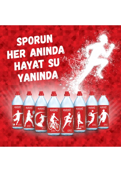 Sporcu Kapak Su 12x750 ML fırsatları