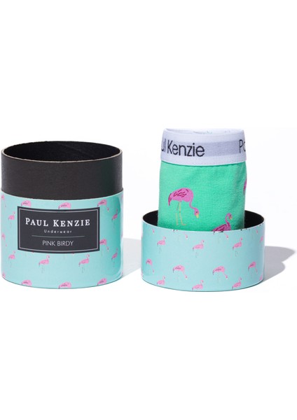 Unique Effect Desenli Kadın Slip Külot - Pink Birdy