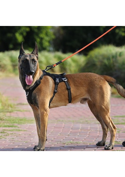 Tactical Siyah Köpek Göğüs Tasması fırsatları